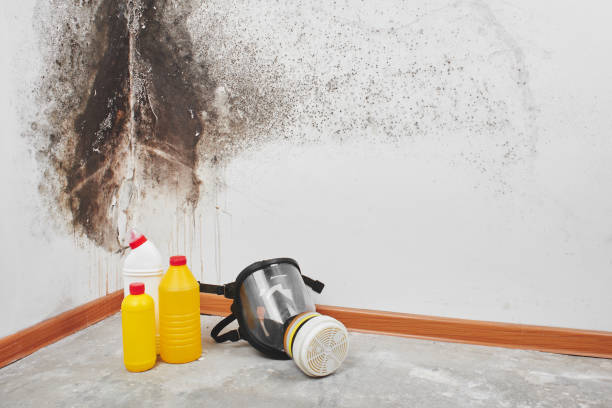 Best Mold Removal Process  in Newington Forest, VA
