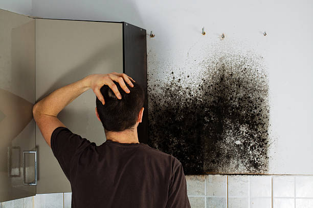 Best Office Mold Removal Services  in Newington Forest, VA